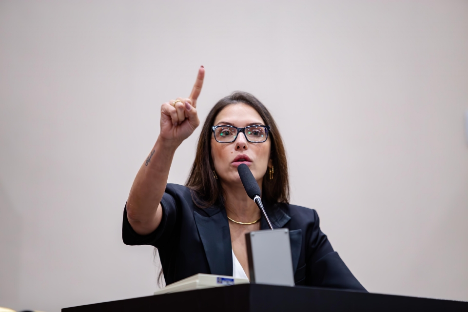 Mato Grosso: Desafios na Representação Feminina na Política Brasileira