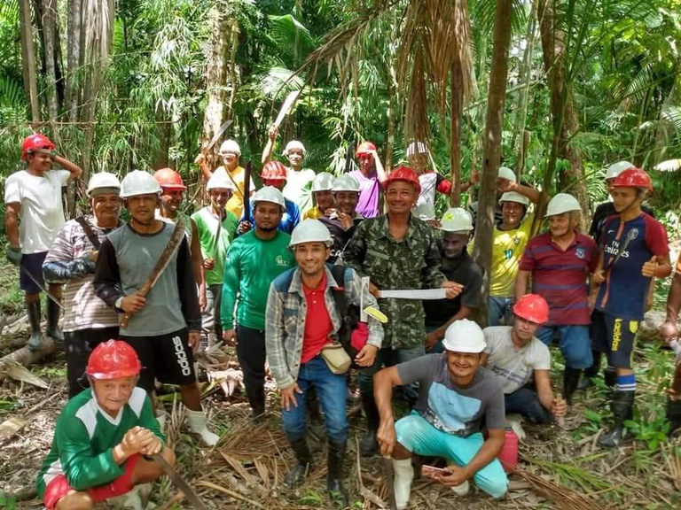 Açaí no Amapá: Transformação da Cadeia Produtiva Impulsiona Renda Local Açaí no Amapá: Transformação da Cadeia Produtiva Impulsiona Renda Local