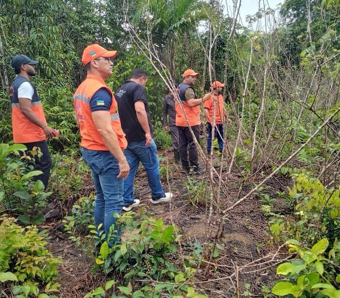 Avanço da Vassoura-de-Bruxa em Santana: Alerta para a Agricultura no Amapá Avanço da Vassoura-de-Bruxa em Santana: Alerta para a Agricultura no Amapá