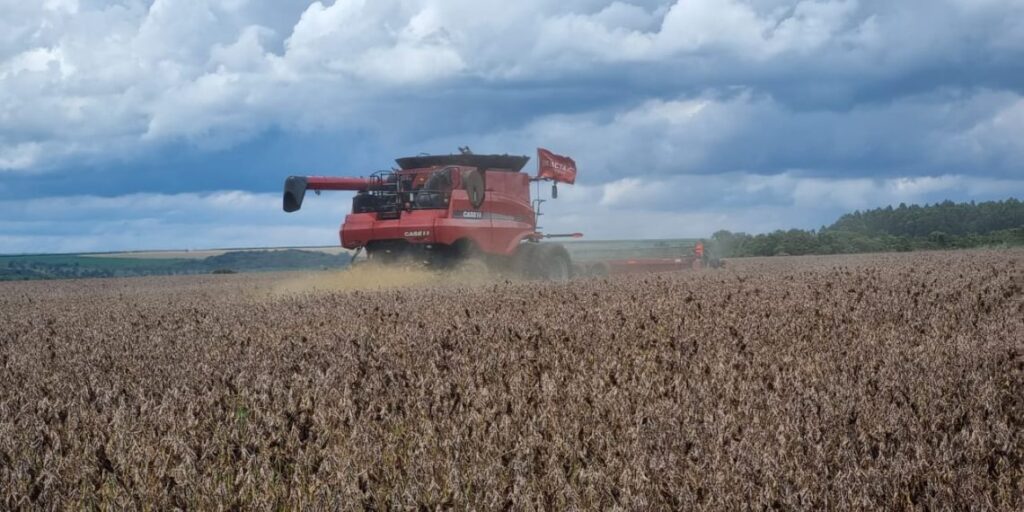 Condições Climáticas Favoráveis Impulsionam o Desenvolvimento da Soja no Brasil Condições Climáticas Favoráveis Impulsionam o Desenvolvimento da Soja no Brasil