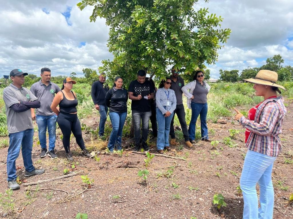 Cursos Técnicos em Agronegócio: Oportunidades de Qualificação em Mato Grosso Cursos Técnicos em Agronegócio: Oportunidades de Qualificação em Mato Grosso