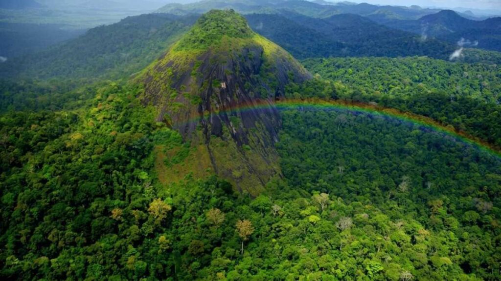 Descubra o Parque Nacional Montanhas do Tumucumaque: A Jóia Ecológica do Brasil