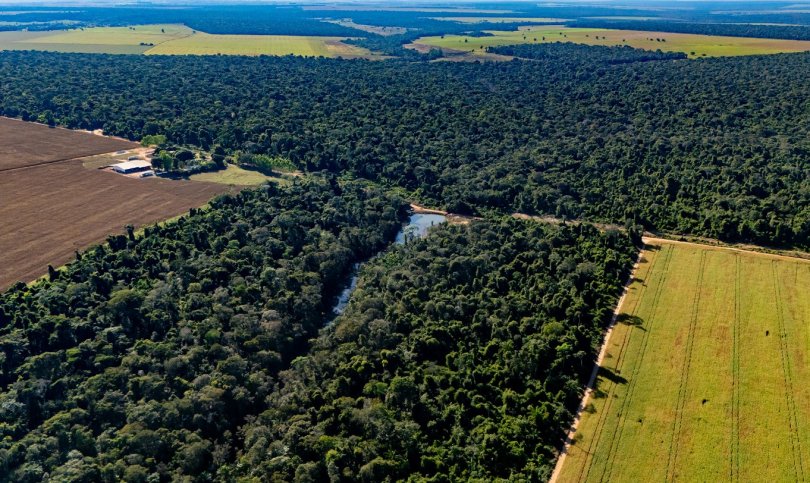 Produção e Sustentabilidade no Agronegócio de MT: Um Compromisso com o Futuro