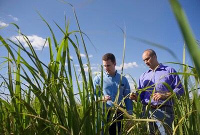 Bayer Lança Fundo de R$ 500 Milhões Focado em Descarbonização no Agronegócio