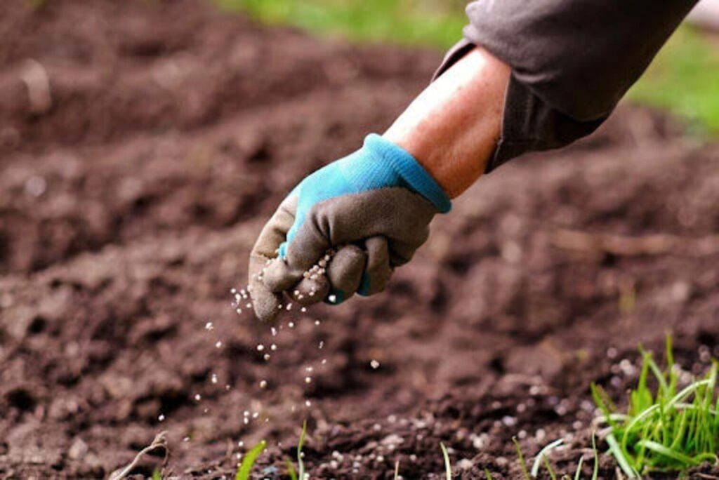 Conflito no Irã Eleva Custos dos Fertilizantes e Impacta o Agronegócio Brasileiro