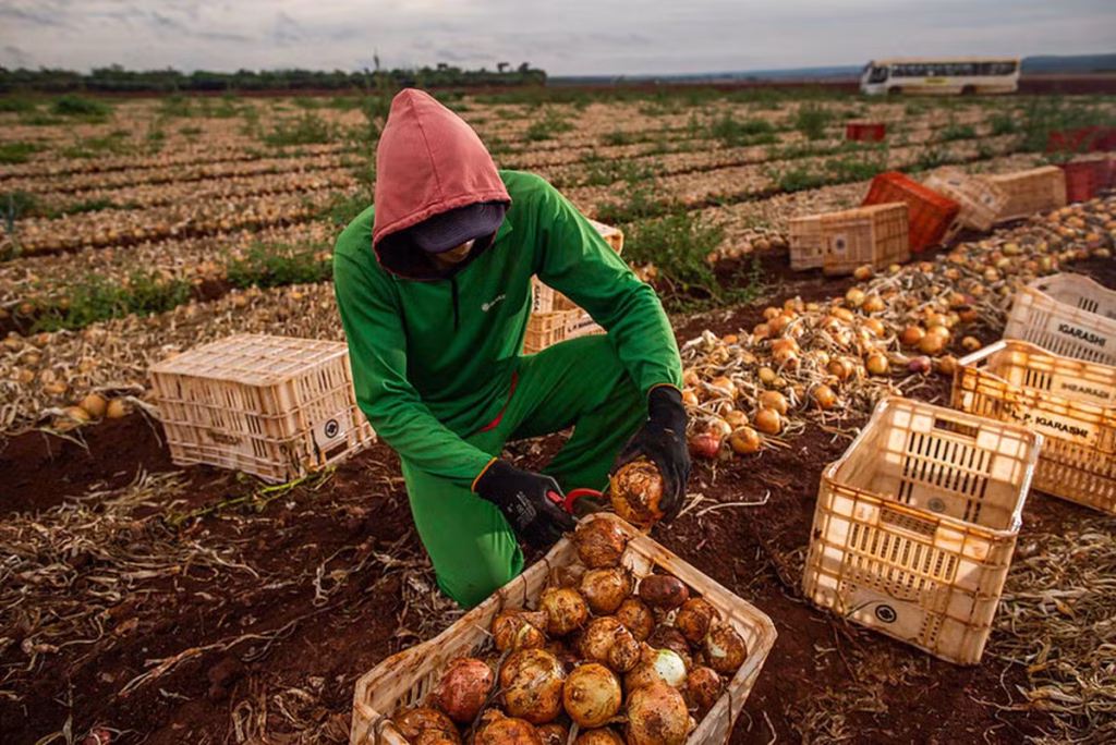 Recorde na Ocupação do Agronegócio: Setor de Agrosserviços Cresce Apesar da Queda na Produção Agrope