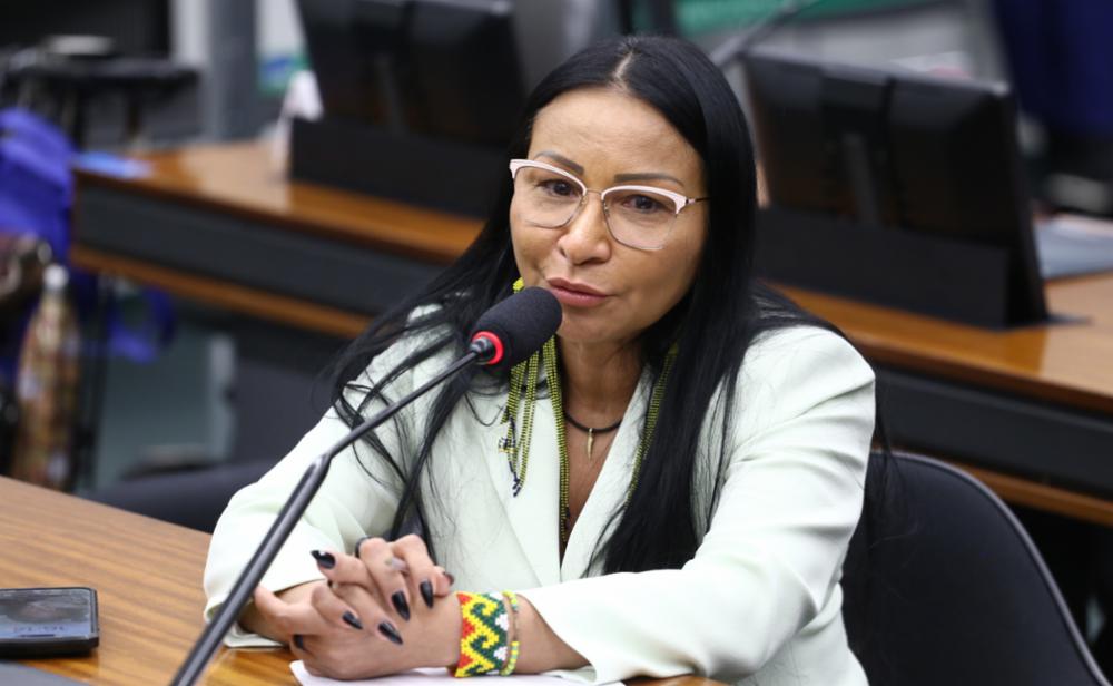 TSE Confirma Cassação de Ex-Deputada Indígena no Amapá: Entenda o Caso