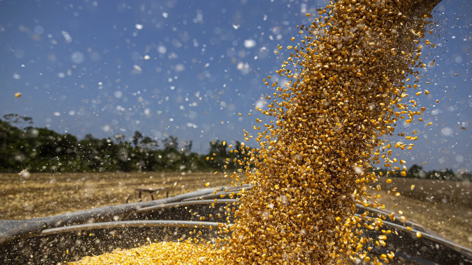 39 Membros do Conselhão Cobram Avaliação Rigorosa dos Investimentos do Fundo Clima