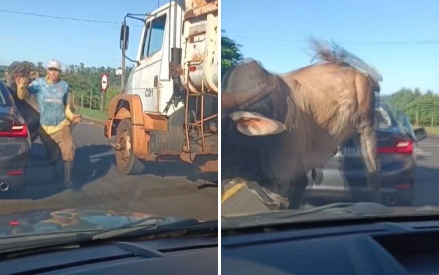 Touro solto em avenida de Ribeirão Preto causa acidente com BMW e avança sobre homem Touro solto em avenida de Ribeirão Preto causa acidente com BMW e avança sobre homem