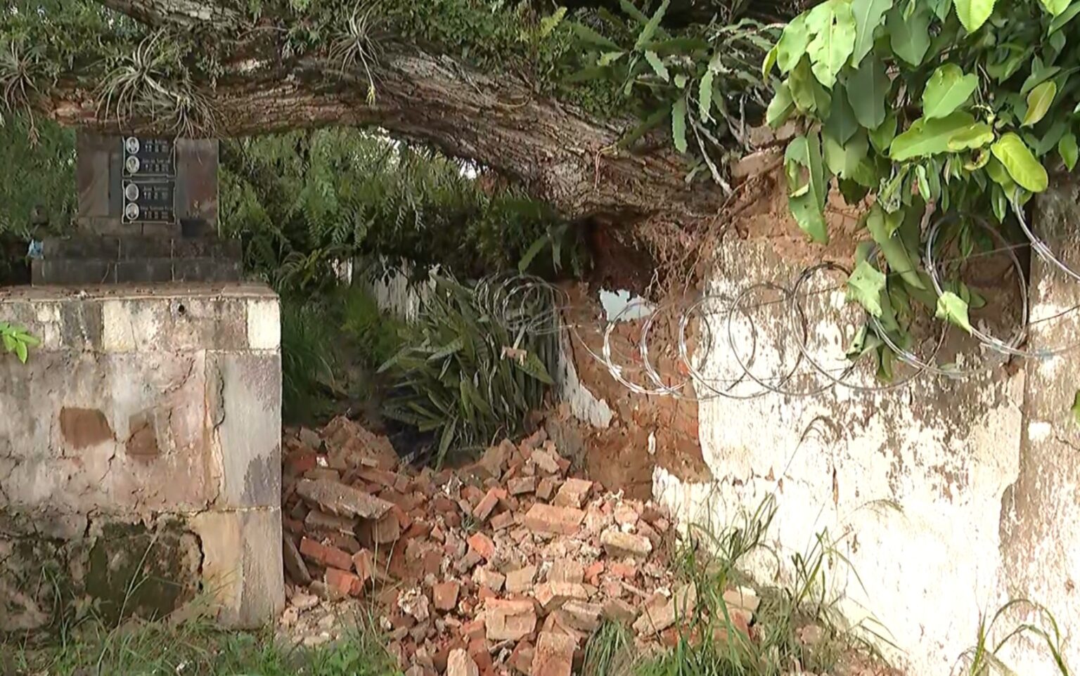 Temporal em Franca: Estragos em Cemitério e Ruas da Cidade