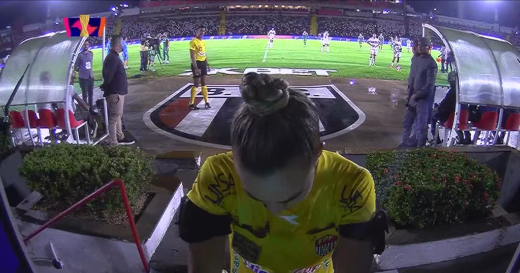 Árbitra Demora Quase Três Minutos no VAR para Decidir Pênalti em Botafogo-SP x Palmeiras