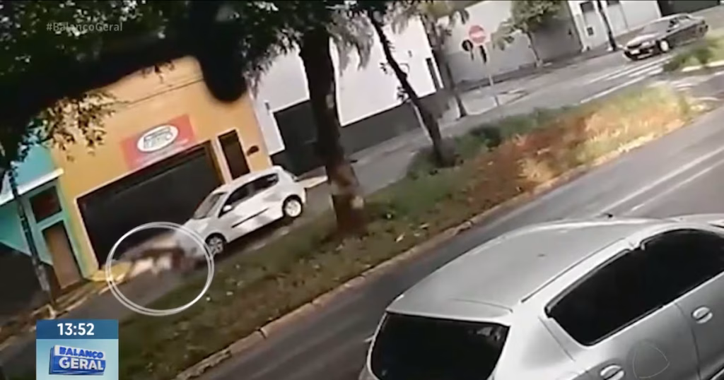 Crianças em Bicicletas Atropeladas na Avenida Mogiana em Ribeirão Preto: Entenda o Caso