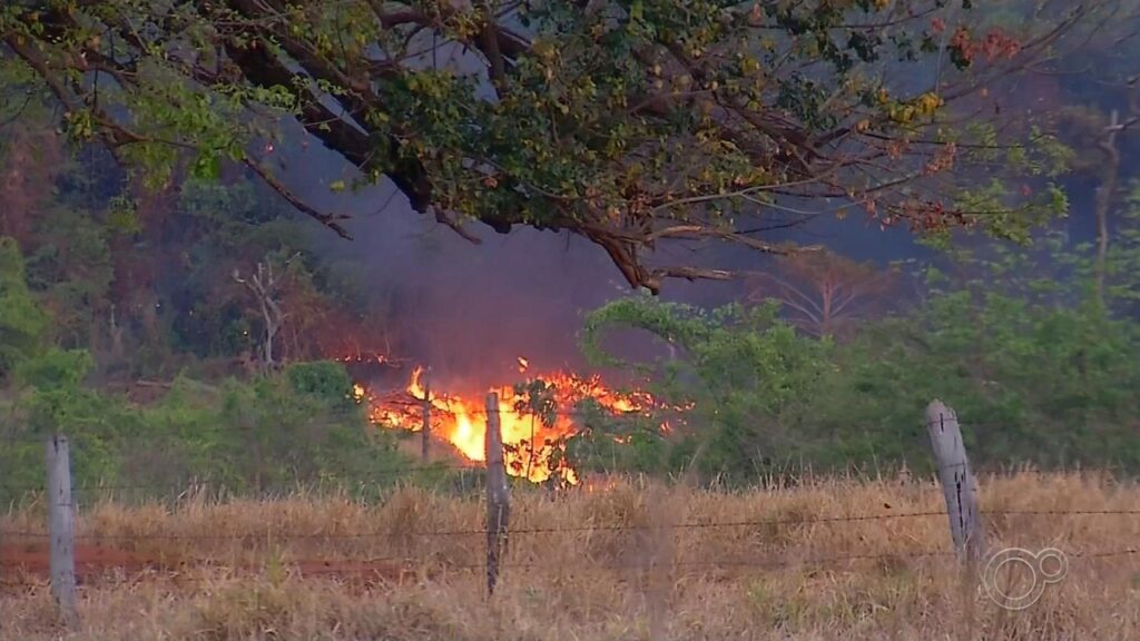 Governo de SP Anuncia Seleção para 243 Brigadistas Temporários na Luta Contra Incêndios Governo de SP Anuncia Seleção para 243 Brigadistas Temporários na Luta Contra Incêndios
