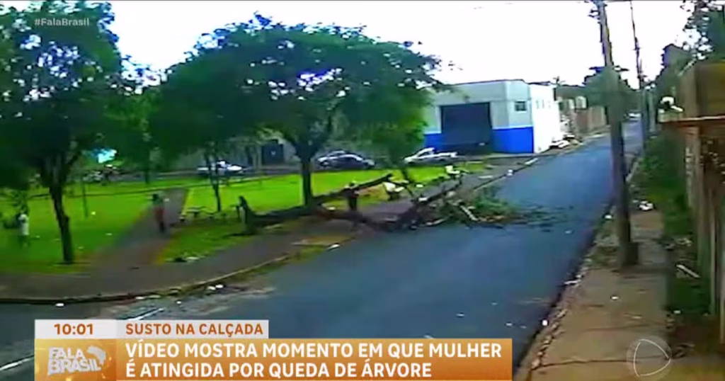 Mulher de 54 anos é atingida por árvore que caiu em calçada de Ribeirão Preto