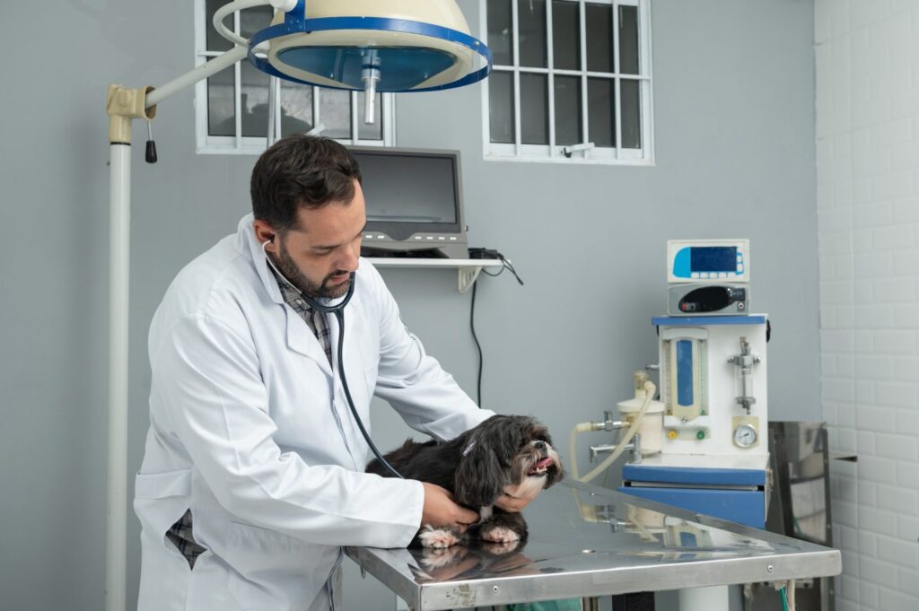 São Paulo Duplica Atendimento Veterinário com Pet Contêiner e Aumenta Entregas