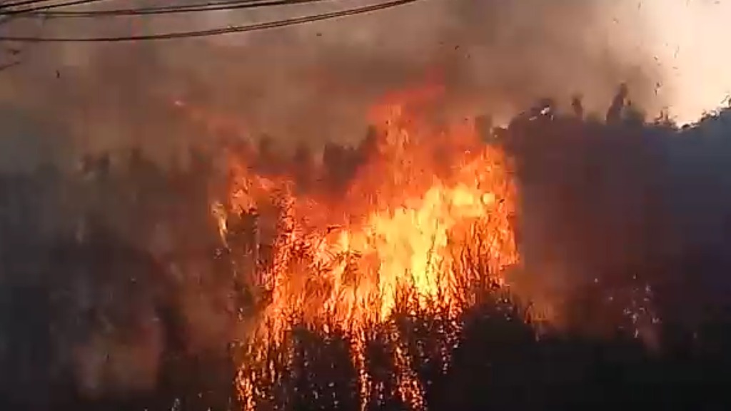 Alerta de Incêndios: Ribeirão Preto em Risco Durante a Estiagem Alerta de Incêndios: Ribeirão Preto em Risco Durante a Estiagem