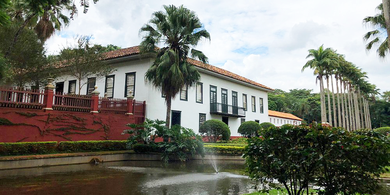 São Carlos: A Conexão Entre História, Café e Chorinho São Carlos: A Conexão Entre História, Café e Chorinho