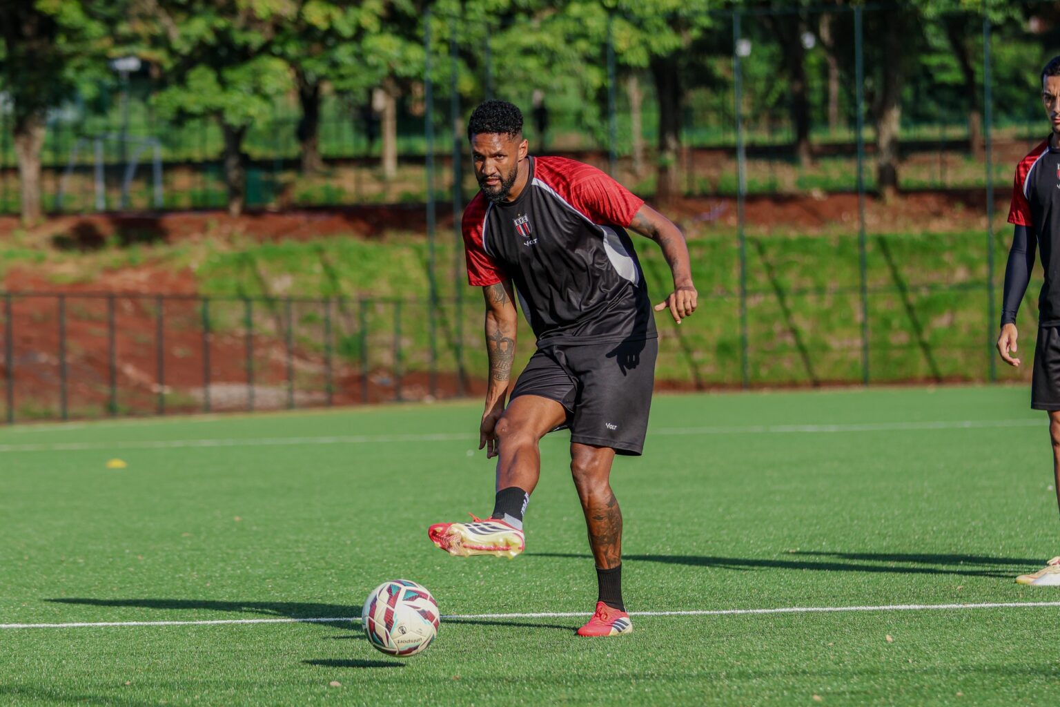 Botafogo-SP: Wallace Relacionado e Pedrinho Como Titular Contra o Criciúma Botafogo-SP: Wallace Relacionado e Pedrinho Como Titular Contra o Criciúma