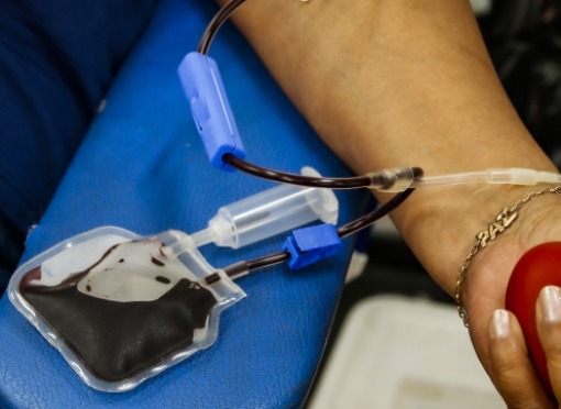 Calendário de Doação de Sangue em Leme: Segunda Etapa Arrecada 86 Bolsas Calendário de Doação de Sangue em Leme: Segunda Etapa Arrecada 86 Bolsas