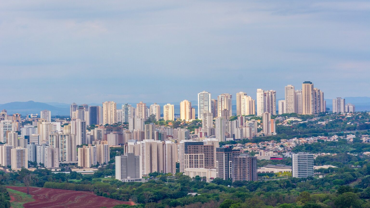 Ribeirão Preto: Desafios e Oportunidades na Atração de Multinacionais