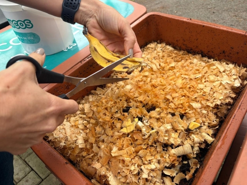Samae Promove Seminário Gratuito sobre Educação Ambiental e Sustentabilidade Samae Promove Seminário Gratuito sobre Educação Ambiental e Sustentabilidade