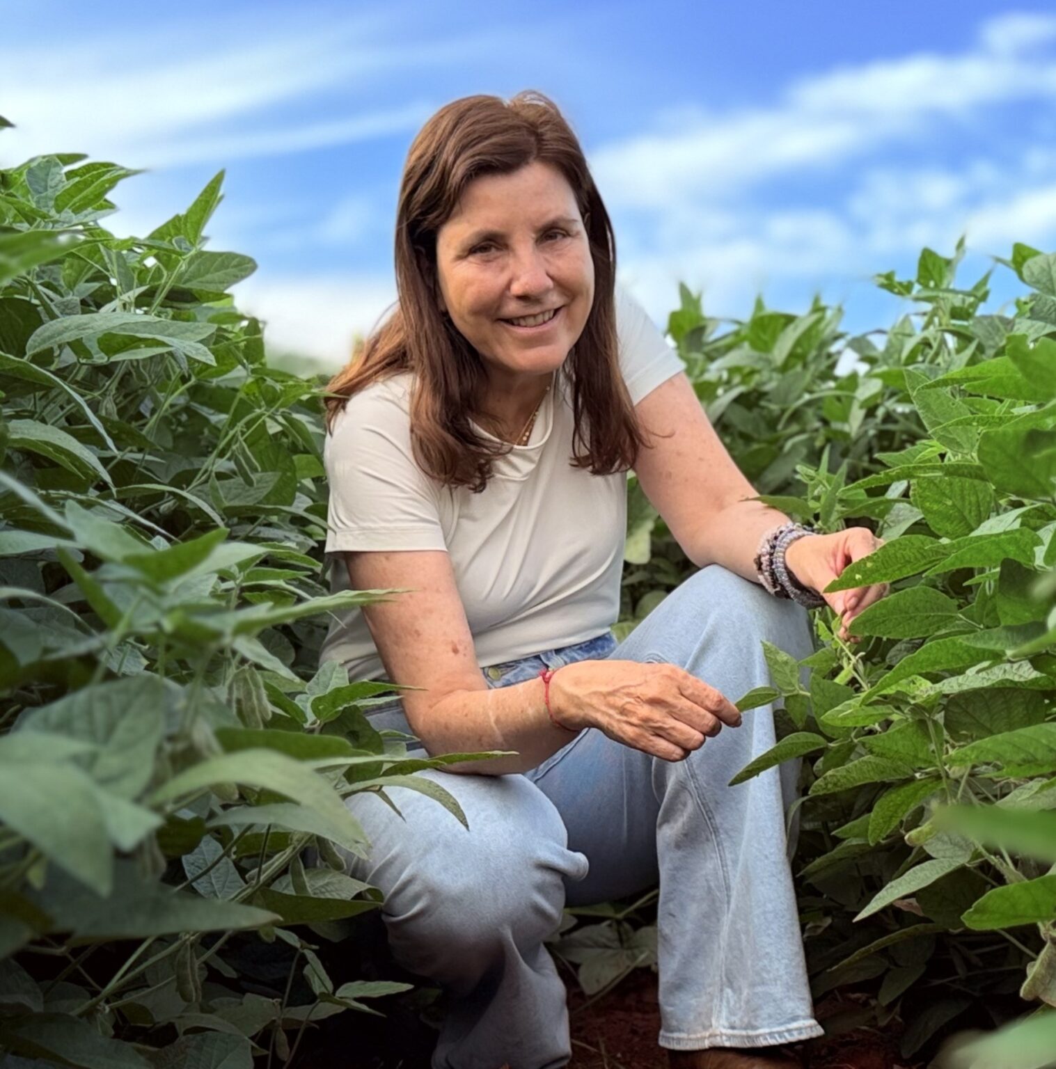 Producers Reduce Planting Area for Next Harvest Amid Rising Costs and Interest Rates