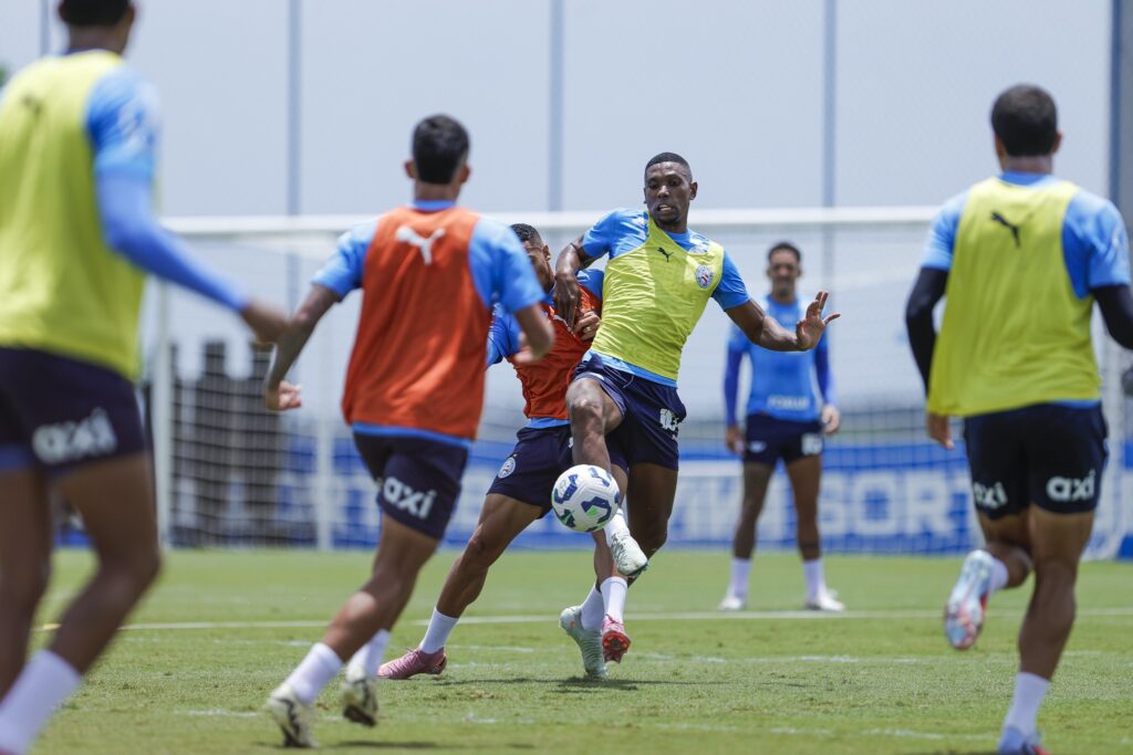 Bahia Foca em Grandes Desafios no Início da Temporada 2026 Bahia Foca em Grandes Desafios no Início da Temporada 2026