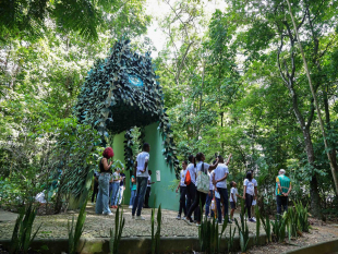 Dia Mundial da Educação Ambiental: Jardim Botânico de Salvador Promove Conscientização