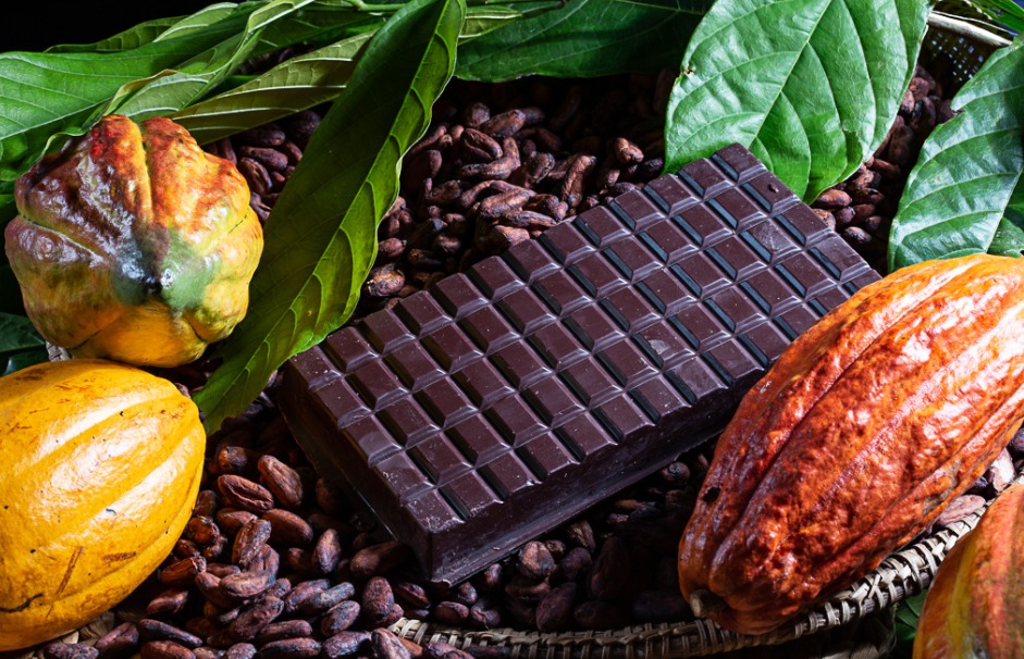 A Produção de Chocolates da Agricultura Familiar no Sul da Bahia Cresce com a Páscoa
