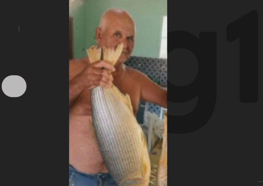 Tragédia na Bahia: Idoso é Vitimado por Ataque de Abelhas enquanto Conduzia Trator
