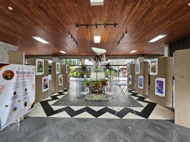 Exposição 'Matriarcas do Tempo' Celebra a Força Feminina na Biblioteca Central