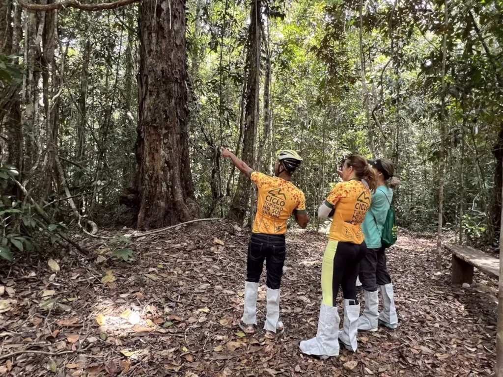 Turismo Regenerativo: Descubra Como Viajar de Forma Sustentável e Contribuir com Destinos Brasil afo