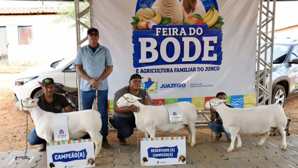8ª Feira do Bode impulsiona agricultura familiar e economia local em Juazeiro