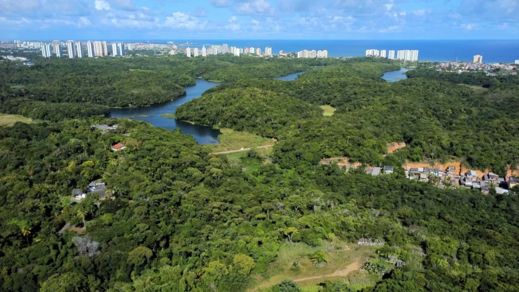 Parques e Áreas Verdes em Salvador para Aproveitar a Primavera Parques e Áreas Verdes em Salvador para Aproveitar a Primavera