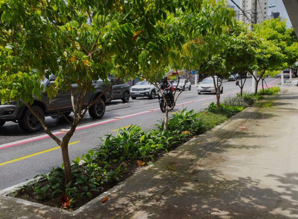 Belém Inova com Jardins de Chuva para Combater Alagamentos Belém Inova com Jardins de Chuva para Combater Alagamentos