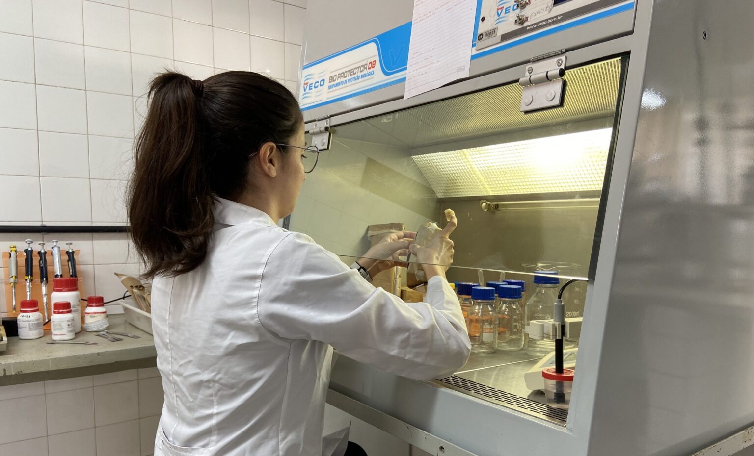 Pós-Graduação em Ciência de Alimentos da UEL Completa 50 Anos com Simpósio Gratuito