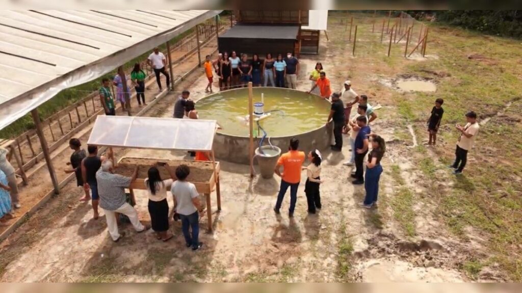 Tecnologia Social Revoluciona Produção Alimentar no Marajó