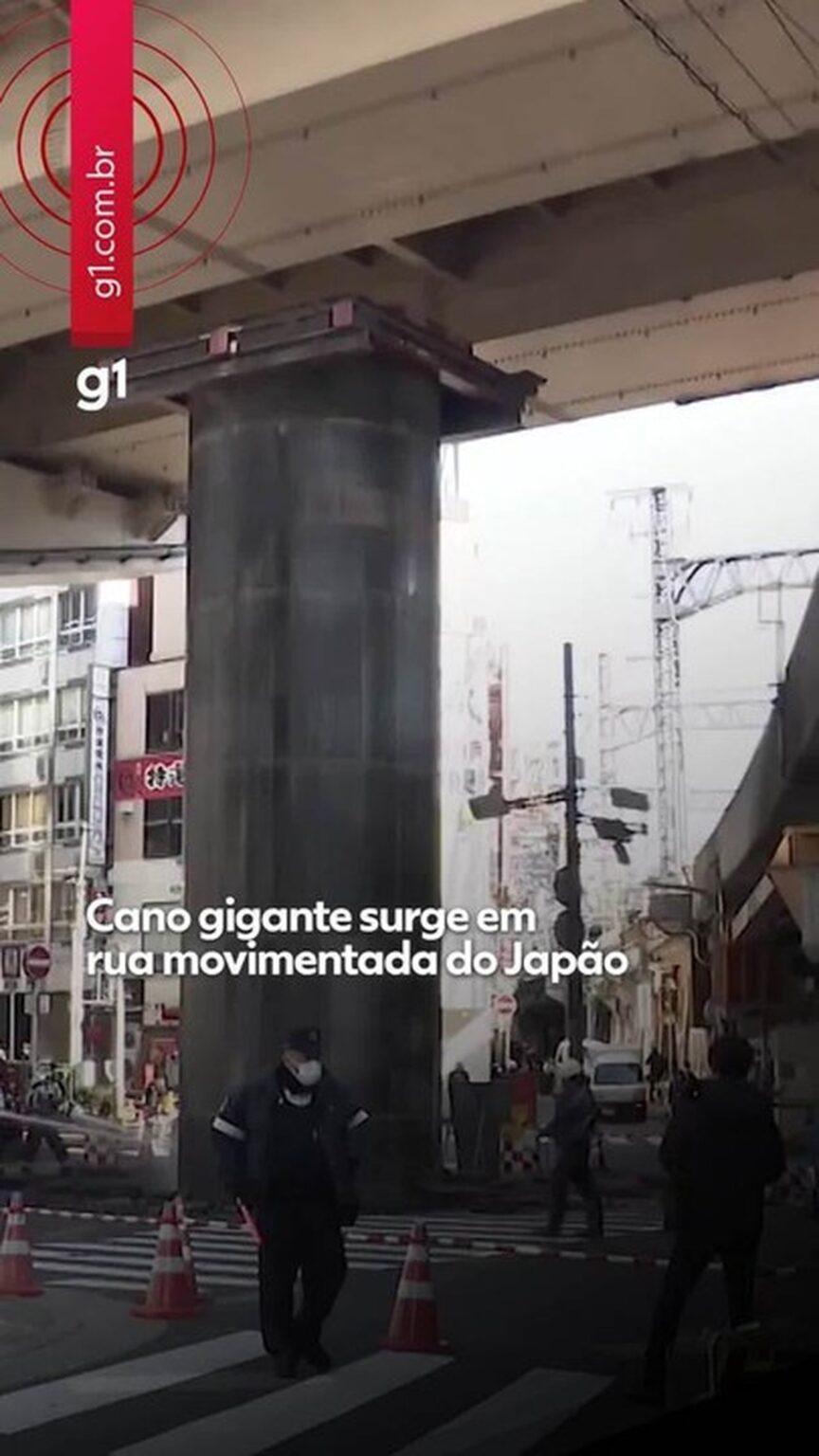 Cano Gigante Surpreende e Fecha Via Movimentada em Osaka, Japão