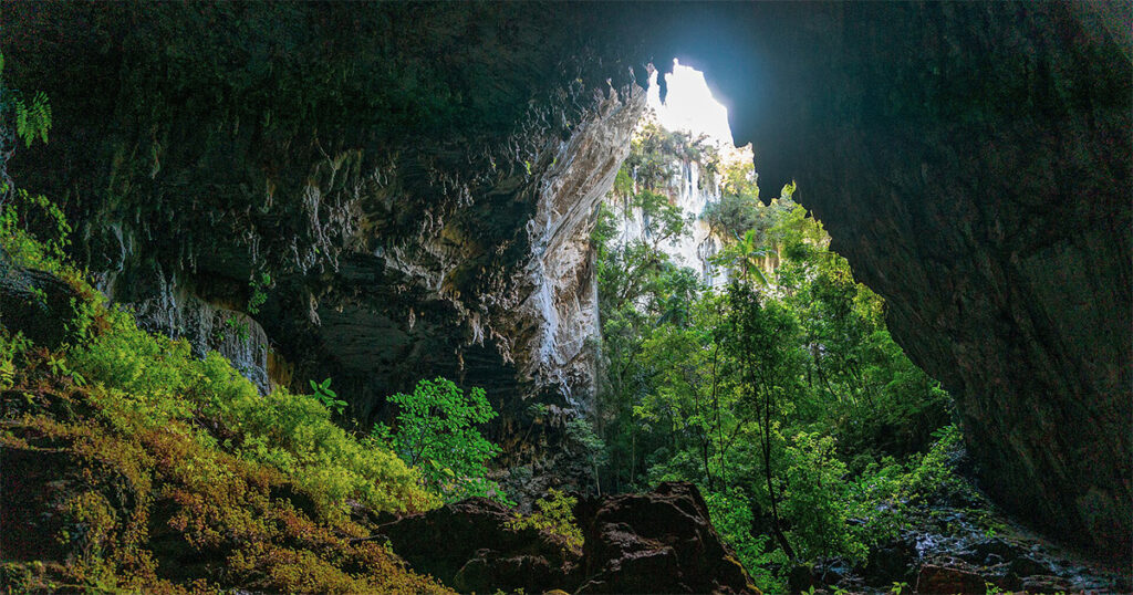 Ciência Cidadã: Uma Nova Abordagem para a Proteção das Cavernas no Brasil