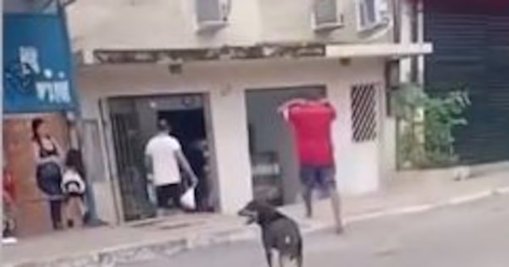 Debate Acirrado em Belém: Suposto Abandono de Cachorro Gera Discussões Debate Acirrado em Belém: Suposto Abandono de Cachorro Gera Discussões