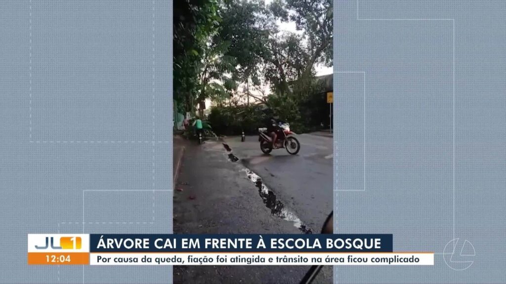 Árvore Cai em Outeiro e Interdita Rua, Deixando Moradores sem Energia em Belém