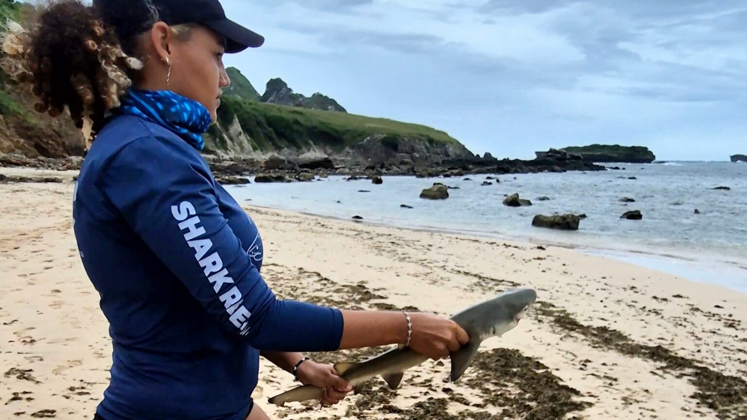 Cursos Gratuitos em Fernando de Noronha: Incentivo à Participação Feminina na Ciência