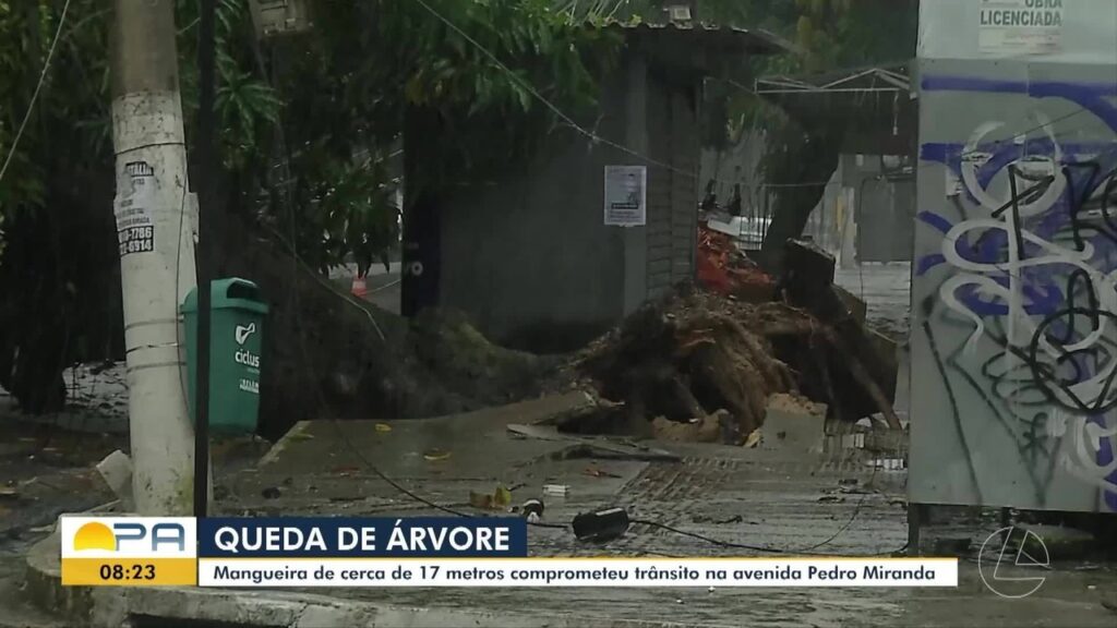Fortes Chuvas em Belém Causam Queda de Árvores e Deixam Mais de 5 mil Famílias sem Energia Fortes Chuvas em Belém Causam Queda de Árvores e Deixam Mais de 5 mil Famílias sem Energia