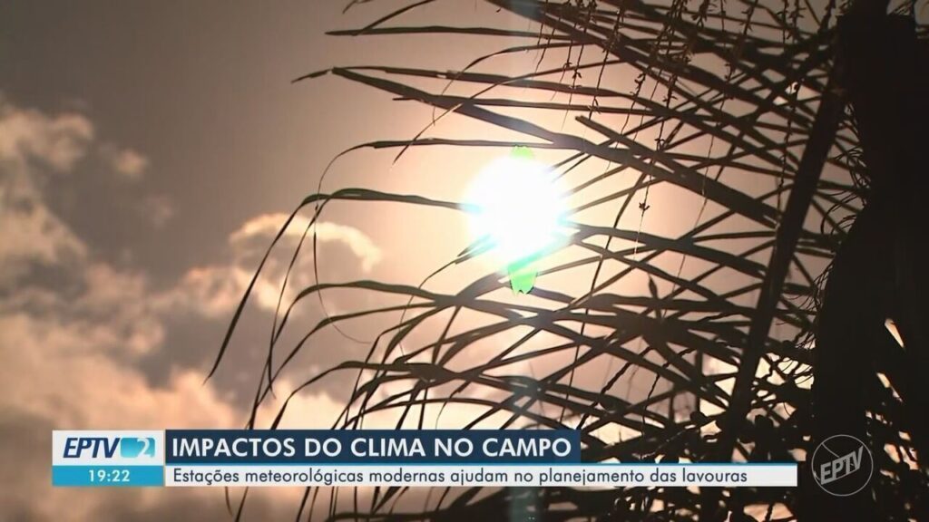 Tecnologia: Soluções Inovadoras para Produtores Rurais Diante das Mudanças Climáticas