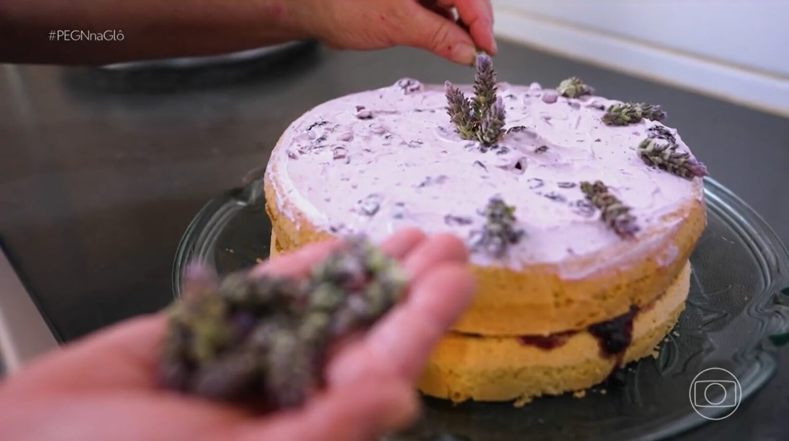Como a Lavanda se Transformou em um Empreendimento Turístico que Fatura R$ 200 mil