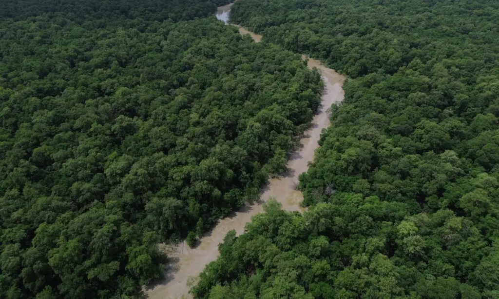 Nova Pandemia na Amazônia: Cientistas Alertam para Riscos Crescentes