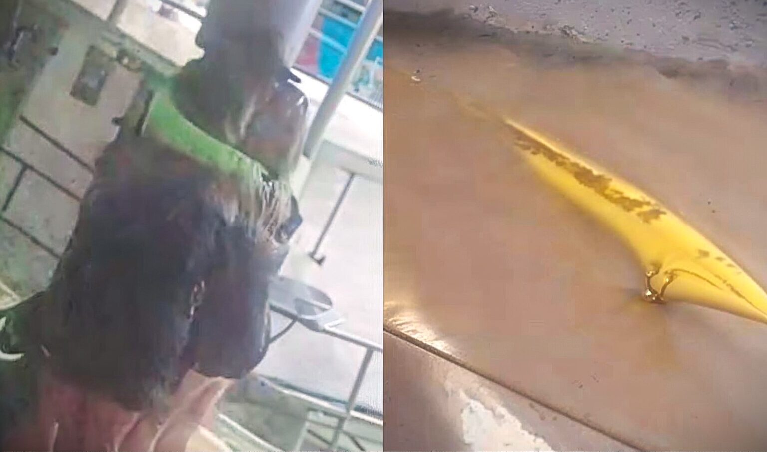 Passeio de Canoa Havaiana em Belém: Quase uma Tragédia nas Águas do Guamá