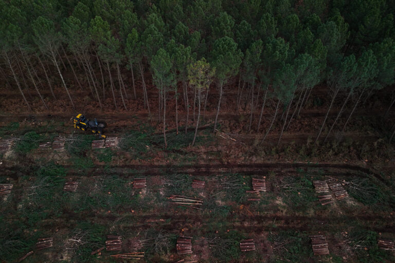 Belo Horizonte Aprova Renovação da Licença Ambiental: Um Alerta para o Controle Ambiental no Brasil