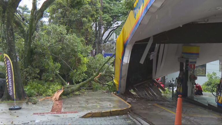 Árvore Desaba sobre Carro em Posto de Combustíveis em Belo Horizonte