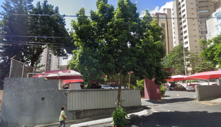 Árvore Gigante Cai e Interdita Rua na Savassi, BH: O Que Aconteceu?